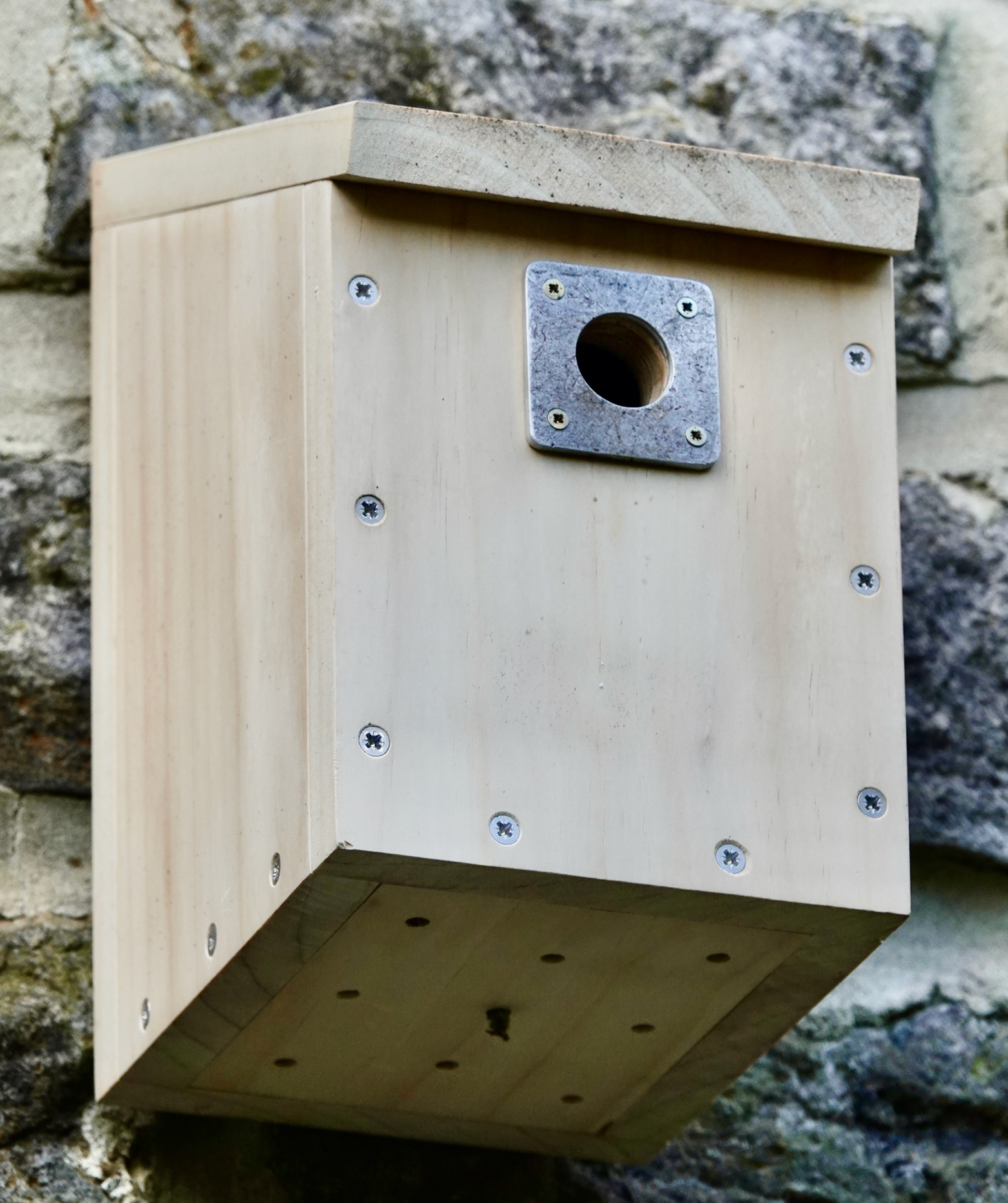 Finished wooden nest box mounted on a stone wall with a metal hole protector around the entrance