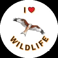 A Ride For Life I love Wildlife sticker