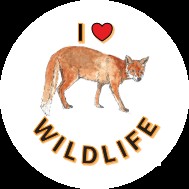 A Ride For Life I love Wildlife sticker