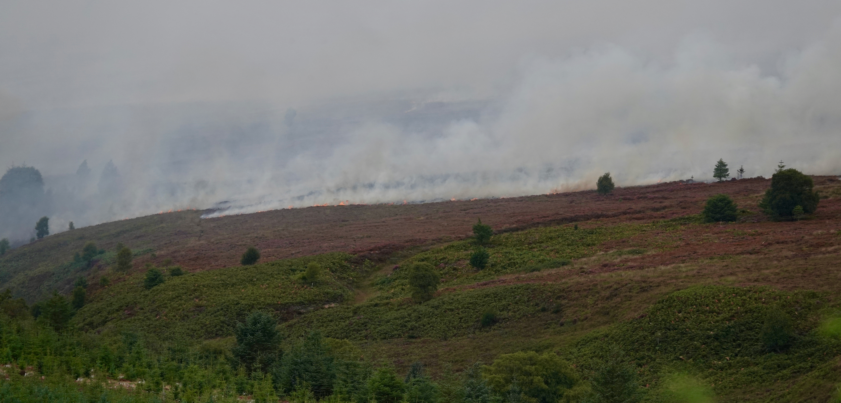 A wildfire spreading across a North York Moor in August 2025.