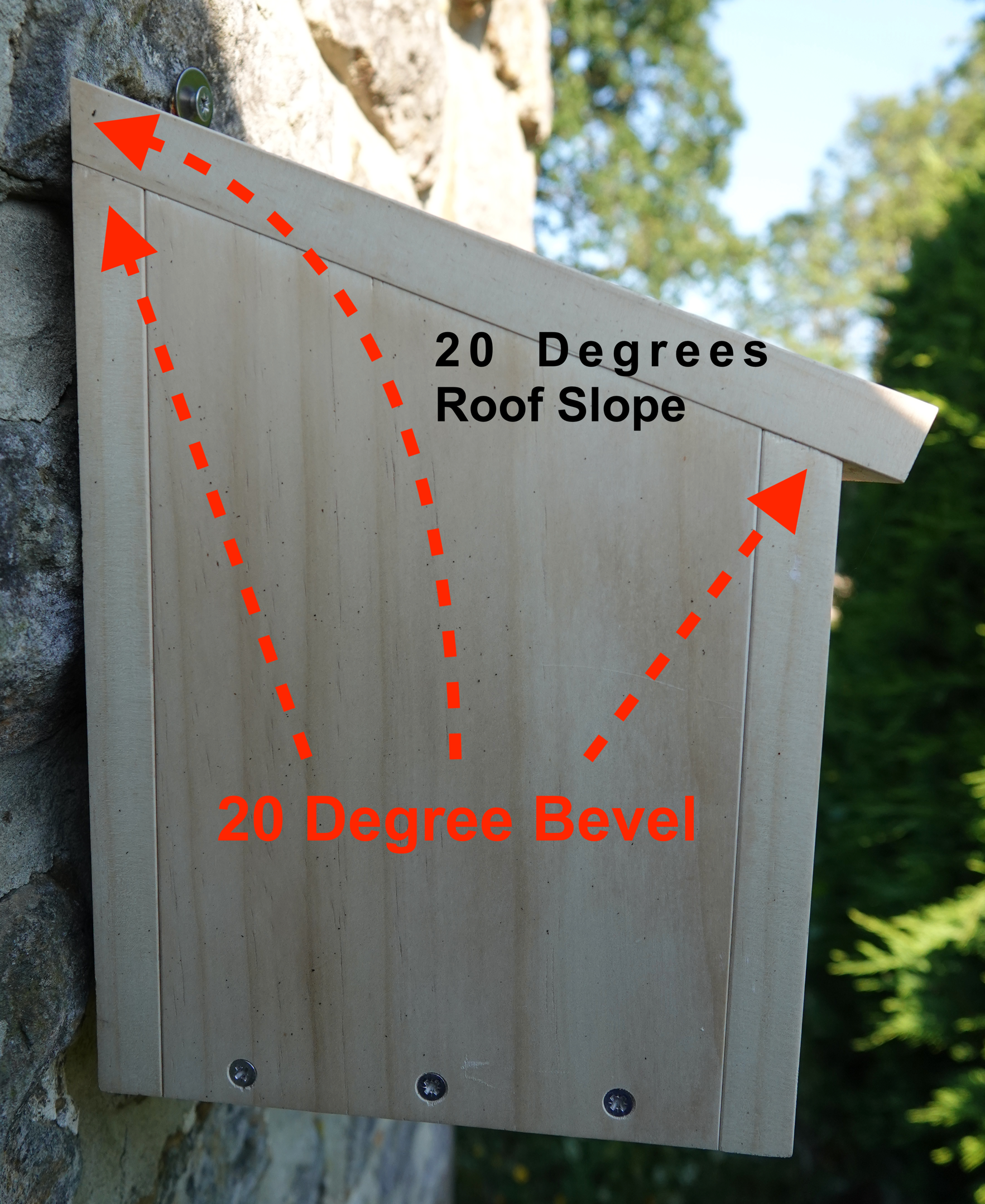 Mounted nest box showing the 20-degree roof slope and matching bevel on the side panel