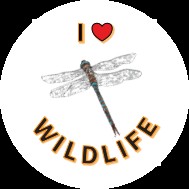 A Ride For Life I love Wildlife sticker