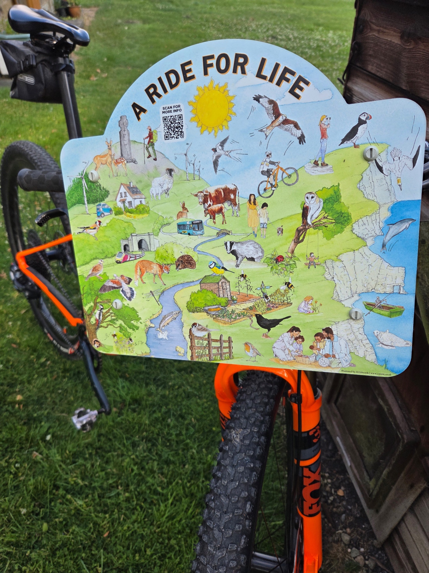 Close-up of the A Ride For Life illustration board, a hand-drawn map of wildlife, people and landscapes by Ali Edwards, mounted on the handlebars of Forest Rips.